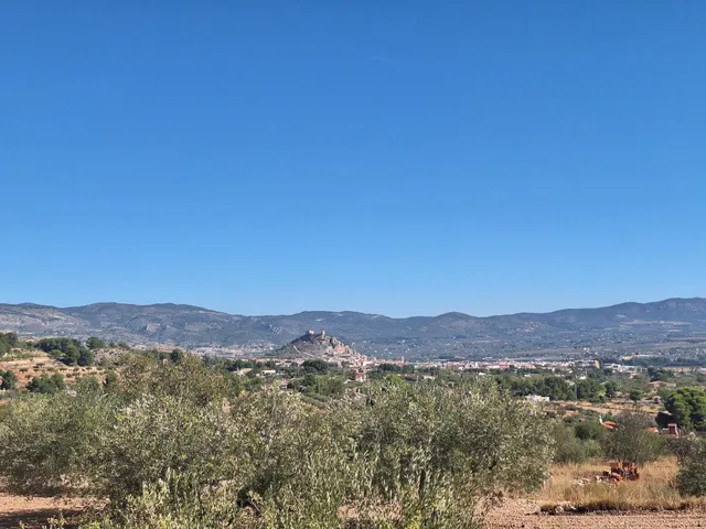 Terreno agrícola con olivos, almendros y vistas al Castillo de Castalla — 17.000 € — 12