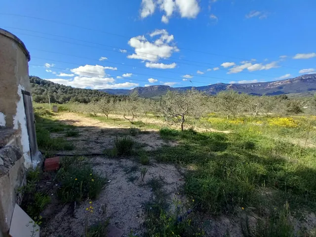Terreno rural en l'Aleixar — 5