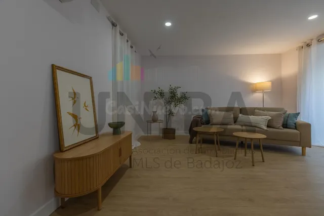 PISO TOTALMENTE REFORMADO EN EL CASCO ANTIGUO, JUNTO A PUERTA PALMAS — 3