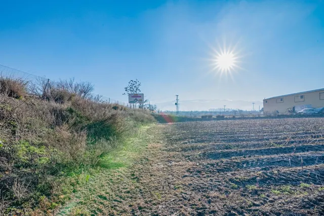 Excelente finca de regadío en la Vega de Granada, con acceso directo — 4