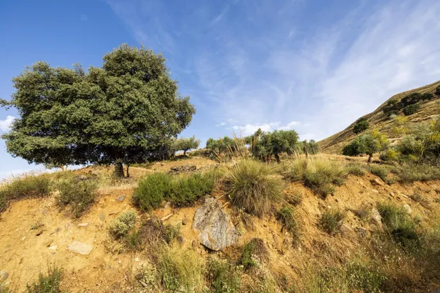 En Venta Maravilloso Paraje Natural, a medio camino entre Gr