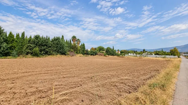 Parcela rústica de 4.824 m2 en Llanos de Moraleda, Moraleda de Zafayona — 22