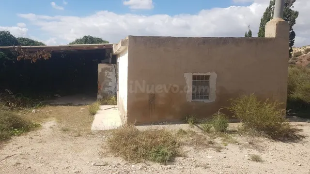 SE VENDE PARCELA EN PRODUCCION DE VIÑEDOS DE LA VARIEDAD ALE