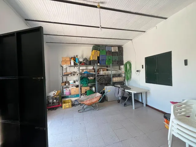 Casa de campo con olivos en producción, placas solares y amp - foto 3
