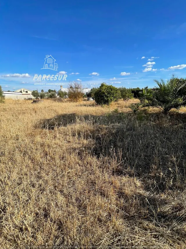 PARCELA DE TERRENO DE 3.000 M2 CON POZO Y LUZ DE ENDESA - foto 4