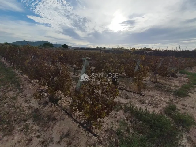 SE VENDE TERRENO EN NOVELDA — 4