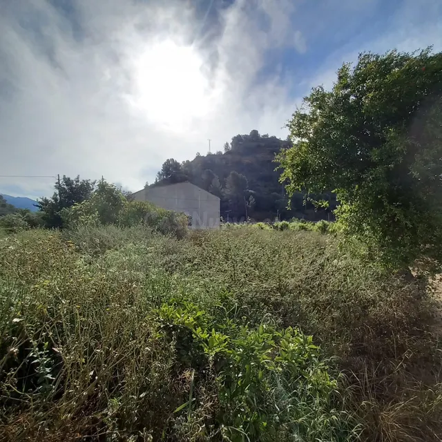 Finca rústica de 1.176 m2 con agua de riego a solo dos minut - foto 4
