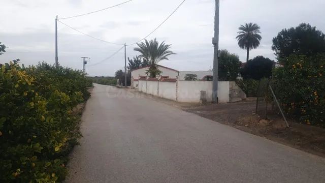 FINCA RUSTICA EN SAN MIGUEL DE SALINAS (ZONA LA MARQUESA)