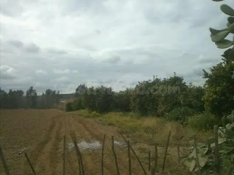 Finca rústica 30000m² en venta - villa