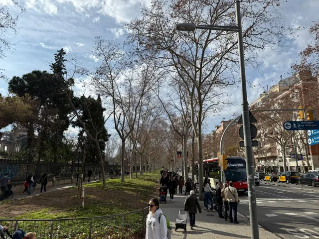 Local Comercial en venta frente al Parc de la Ciutadella. — 22