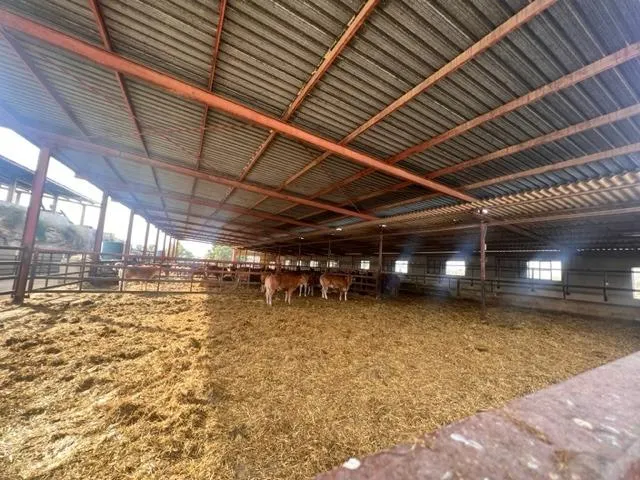 SE VENDE EXPLOATACIÓN GANADERA¡ - foto 2