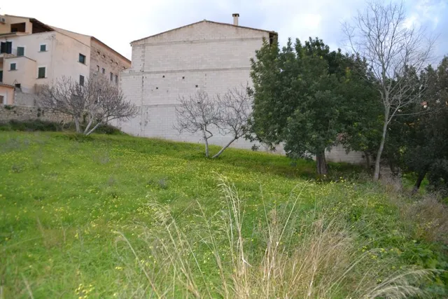 Solar urbanizable en Campanet — 7