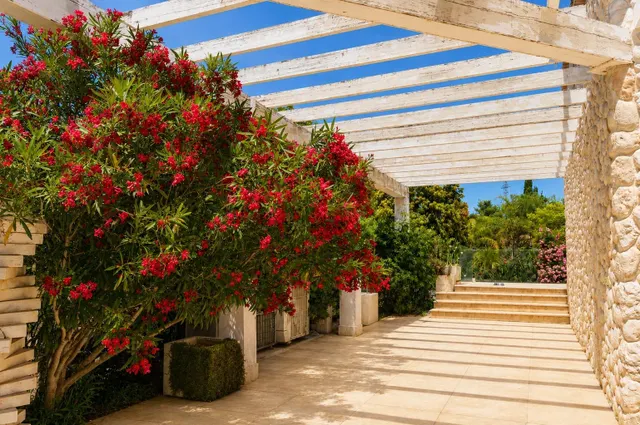Casa unifamiliar con un jardín de ensueño — 26