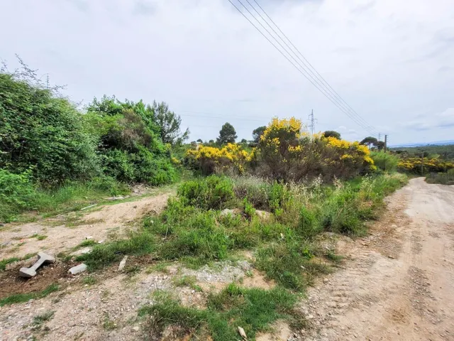 Terreno rústico de 10.735 m2 en Castellbisbal zona Can Nicolau de Dalt. — 24
