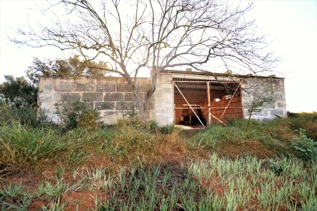 Finca con proyecto aprobado en Llubi — 7