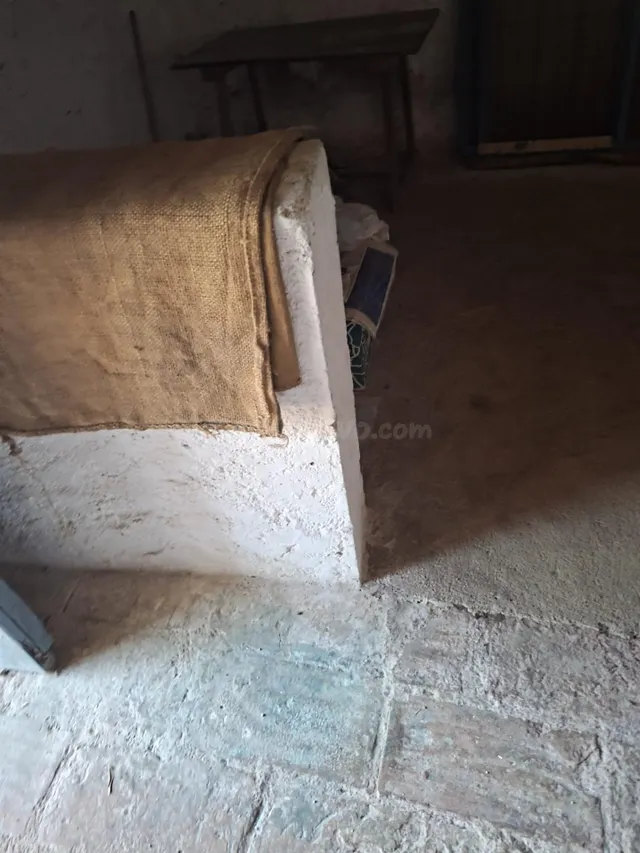 Amplia Propiedad de Olivos con Caseta y Garaje en Entorno Na - foto 5