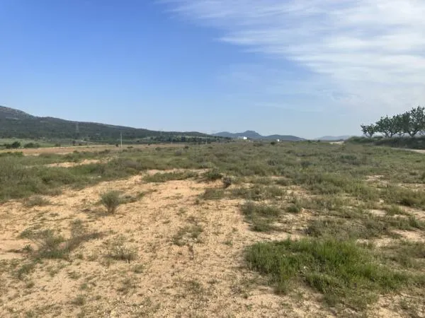 Parcela de terreno de 69000 metros — 3