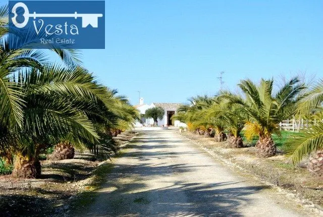 FINCA RUSTICA EN ZONA NORTE - foto 5