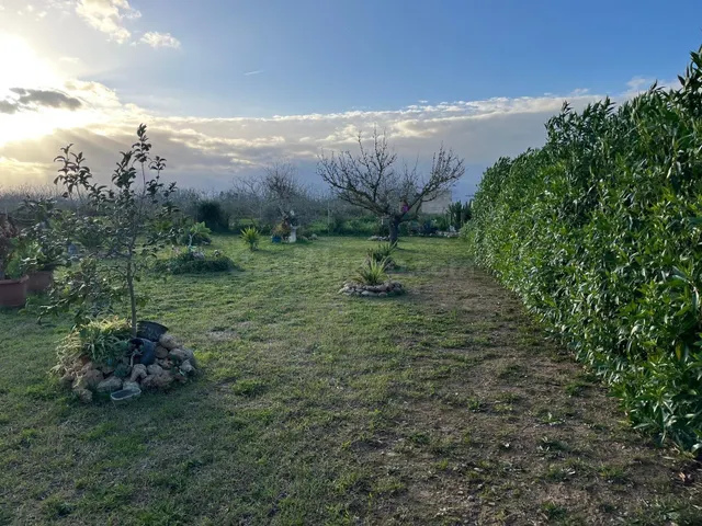 Encantadora Finca Rústica en Muro - ¡Tu Refugio Natural Espe - foto 4