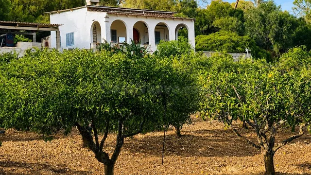 Finca rústica con casa y amplia parcela en Algaida - foto 3