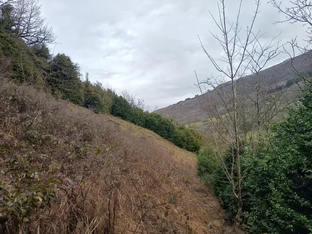 Terreno Orbaizeta — 13
