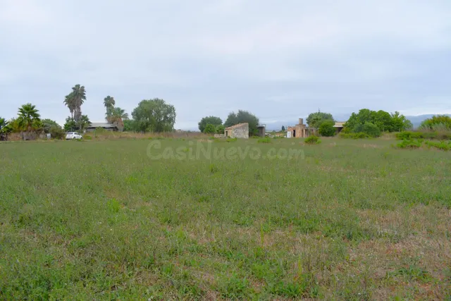 Finca rústica con caseta de herramientas en Muro - foto 5