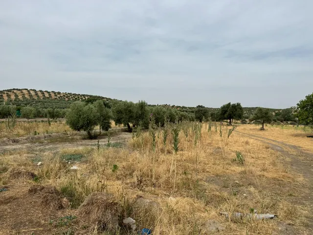 VENTA DE SOLAR URBANIZABLE DE 577 M2 EN CHIMENEAS — 23