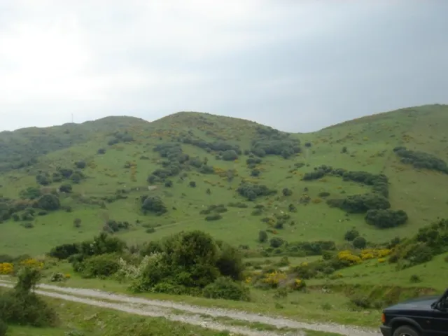 Se vende finca ceca de Tarifa — 7