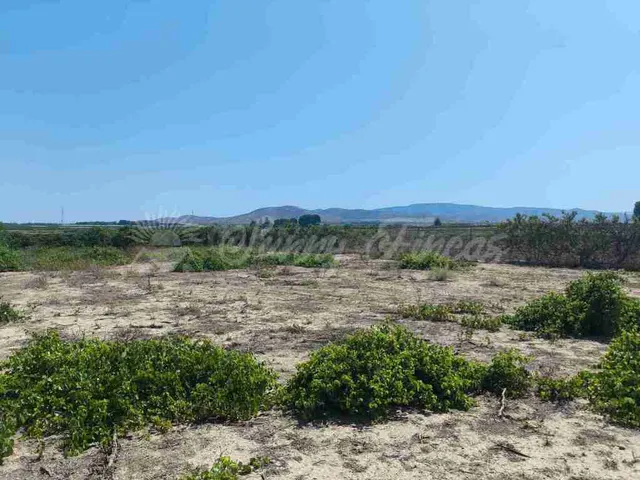 Casa de campo-Masía en Venta en Caudete Albacete — 18