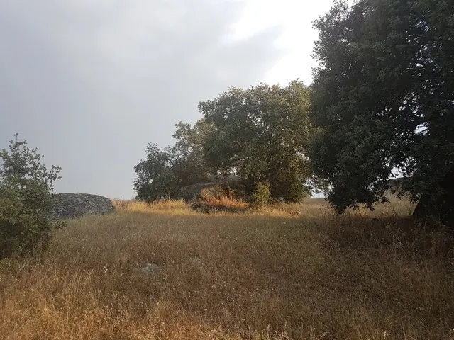 Terreno rural en venta - Alrededores — 11