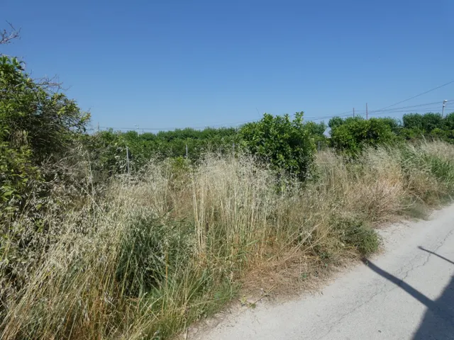 ++Terreno urbanizable en Alguazas, 1000 m. superficie parcela.+ — 5