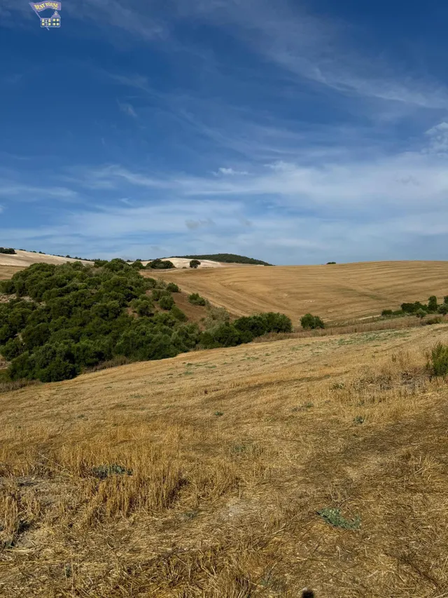 TERRERO RÚSTICO EN ZONA CARRETERA ARCOS-ALGAR — 8