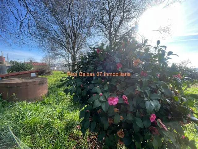 REF 4211 CASA CON JARDÍN IDEAL FIN DE SEMANA TAMEIGA ( MOS ) — 22