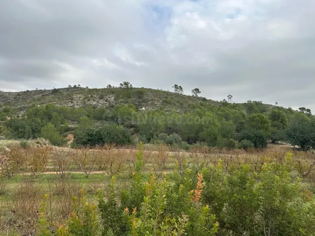 Casa de campo rústica con gran extensión de terreno en La Ga - foto 2