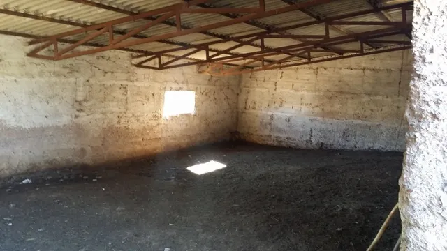 FINCA RÚSTICA ENTRE BELMEZ Y PEÑARROYA-PUEBLONUEVO — 6