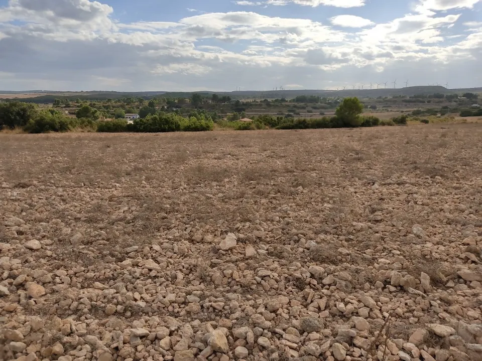 PARCELA DE 15.000 M2 EN PARAJE DE LOS ESPETONES. EXCELENTE ubicación Y ACCESO