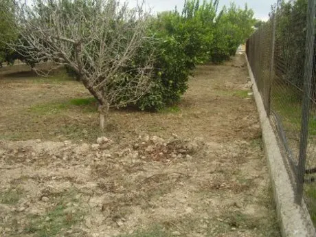 ++OCASION++TERRENO EN VENTA EN BUENA ZONA DE LA RIBERA DE MOLINA+ — 3