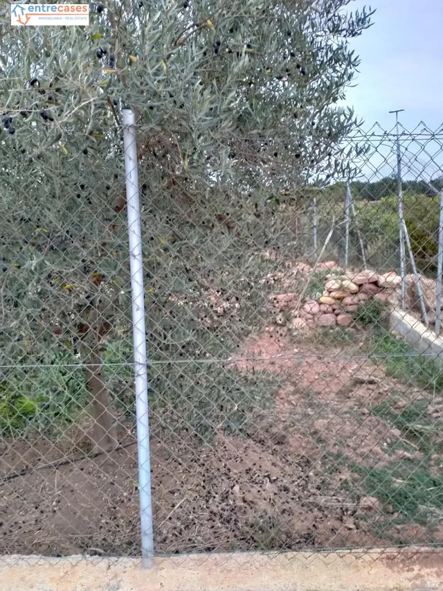 CONJUNTO DE PARCELAS EN PETRÉS — 11
