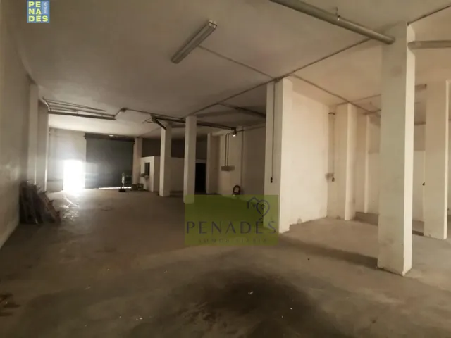 LOCAL COMERCIAL EN ESTADO DIAFANO — 3