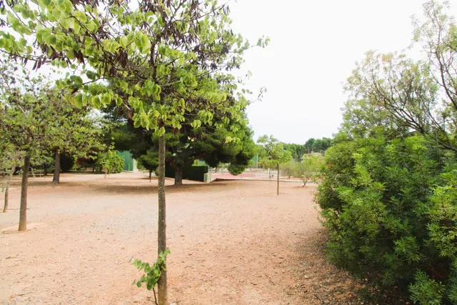 Terreno urbanizable con proyecto en Náquera. — 20