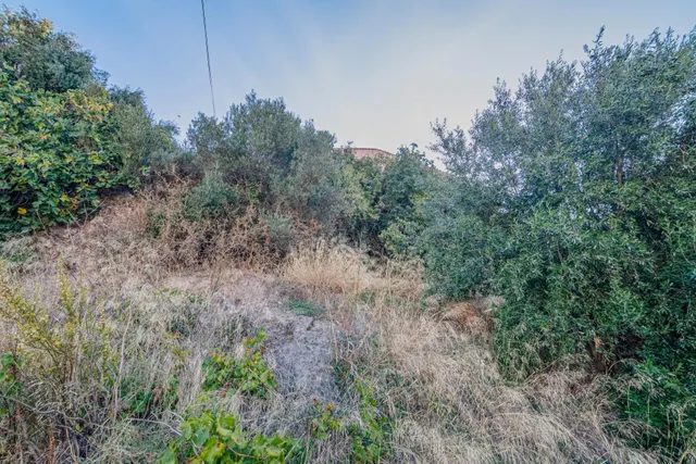 Oportunidad Única: Terreno Urbano en Vélez de Benaudalla - Costa Tropical — 45