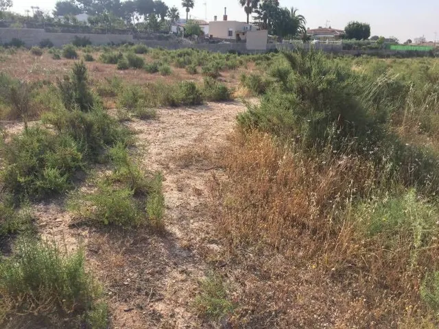 Parcela urbana de casi  30.000m2 en Elche - Zona Pena Las Aguilas — 8