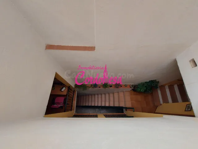 MAGNIFICA VIVIENDA DE 2 PLANTAS + AZOTEA EN ZONA EL POTRO/ S - foto 4