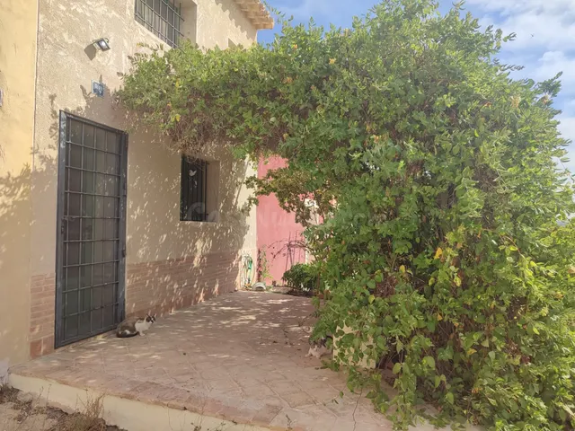 Casa tradicional reformada con terraza solárium en Pinoso (Alicante) — 3