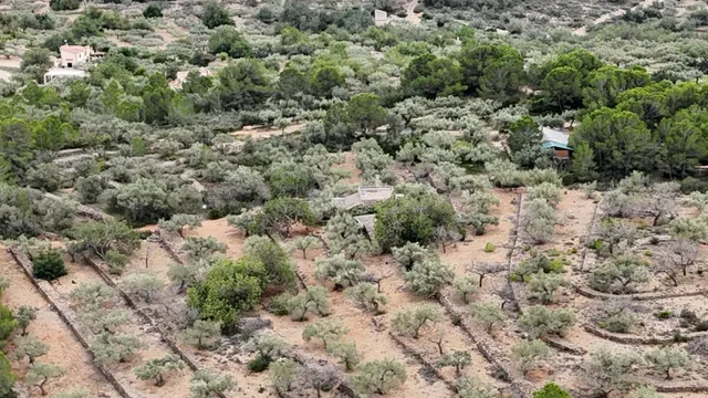 Casa Rústica en El Perelló - Un Refugio Natural con Encanto  - foto 5