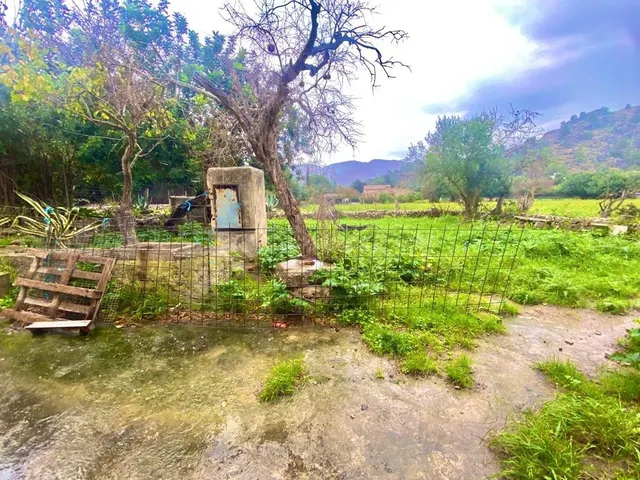 Finca rústica con caseta y 6000m2 para tus proyectos de campo — 2