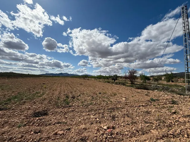 Parcela rural para la venta en Pinoso, Comunidad Valenciana
