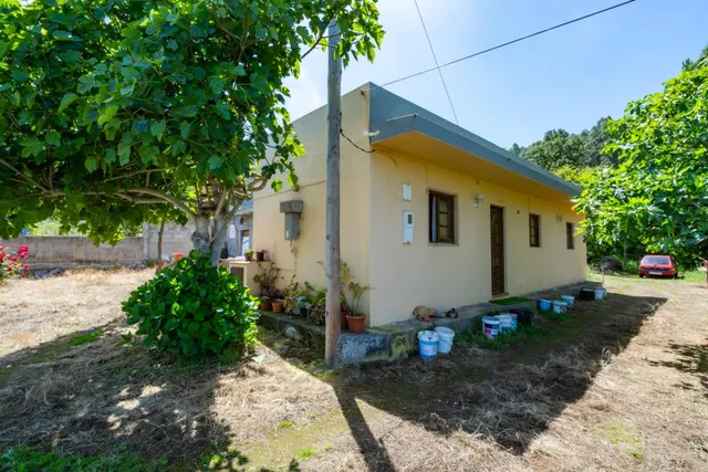 Finca con vivienda y viñedos en Icod de los Vinos — 20