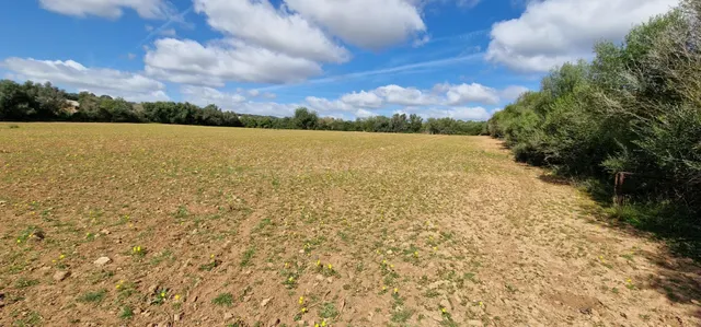 FINCA RUSTICA EN VENTA EN MANACOR - foto 4
