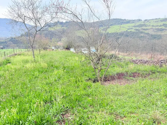 Casa de campo con 21.535 m2 de terreno en Las Regueras - foto 4